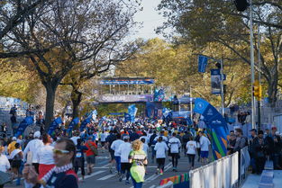 开云体育在线入口-全国大学生马拉松赛激情奔跑城市间，全国大学生马拉松联赛